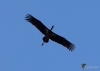 Filename=345_fotowilga~19.JPG
Filesize=154KB
Dimensions=700x500
Date added=Apr 13, 2019 345_fotowilga~19.JPG