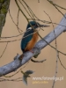Filename=345_fotowilga~25.JPG
Filesize=55KB
Dimensions=360x480
Date added=Nov 04, 2017 345_fotowilga~25.JPG