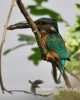 Filename=348_fotowilga~19.JPG
Filesize=74KB
Dimensions=384x480
Date added=Feb 14, 2016 348_fotowilga~19.JPG