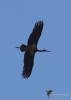 Filename=350_fotowilga~5.JPG
Filesize=166KB
Dimensions=499x700
Date added=Apr 24, 2019 350_fotowilga~5.JPG