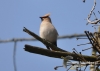 Filename=350_fotowilga~7.JPG
Filesize=87KB
Dimensions=640x457
Date added=Oct 18, 2014 350_fotowilga~7.JPG