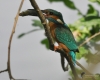 Filename=352_fotowilga~27.JPG
Filesize=228KB
Dimensions=700x560
Date added=Nov 28, 2018 352_fotowilga~27.JPG