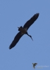 Filename=352_fotowilga~29.JPG
Filesize=143KB
Dimensions=499x700
Date added=Apr 21, 2019 352_fotowilga~29.JPG
