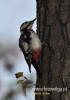 Filename=353_fotowilga~11.JPG
Filesize=76KB
Dimensions=339x480
Date added=Oct 29, 2015 353_fotowilga~11.JPG