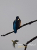 Filename=353_fotowilga~22.JPG
Filesize=36KB
Dimensions=360x480
Date added=May 10, 2017 353_fotowilga~22.JPG