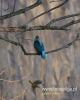 Filename=353_fotowilga~27.JPG
Filesize=59KB
Dimensions=384x480
Date added=Dec 04, 2017 353_fotowilga~27.JPG