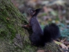Filename=353_fotowilga~30.JPG
Filesize=287KB
Dimensions=700x525
Date added=Apr 24, 2018 353_fotowilga~30.JPG