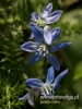 Filename=355_fotowilga~22.JPG
Filesize=73KB
Dimensions=360x480
Date added=Apr 16, 2017 355_fotowilga~22.JPG