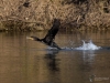 Filename=355_fotowilga~32.JPG
Filesize=305KB
Dimensions=700x525
Date added=Jul 19, 2019 355_fotowilga~32.JPG