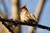 Filename=356_fotowilga~2.JPG
Filesize=86KB
Dimensions=720x480
Date added=Mar 30, 2013 356_fotowilga~2.JPG