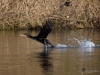 Filename=356_fotowilga~34.JPG
Filesize=311KB
Dimensions=700x525
Date added=May 12, 2019 356_fotowilga~34.JPG
