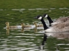 Filename=356_fotowilga~38.JPG
Filesize=261KB
Dimensions=700x525
Date added=Nov 11, 2019 356_fotowilga~38.JPG