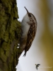 Filename=357_fotowilga~29.JPG
Filesize=225KB
Dimensions=525x700
Date added=Jan 22, 2018 357_fotowilga~29.JPG