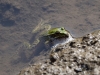 Filename=358_fotowilga~30.JPG
Filesize=326KB
Dimensions=700x525
Date added=Dec 28, 2019 358_fotowilga~30.JPG