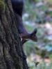 Filename=359_fotowilga~28.JPG
Filesize=276KB
Dimensions=525x700
Date added=Mar 13, 2018 359_fotowilga~28.JPG