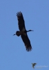 Filename=359_fotowilga~31.JPG
Filesize=171KB
Dimensions=499x700
Date added=Apr 18, 2019 359_fotowilga~31.JPG