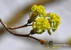 Filename=359_fotowilga~6.JPG
Filesize=84KB
Dimensions=720x514
Date added=Apr 03, 2014 359_fotowilga~6.JPG
