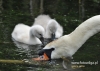 Filename=360_fotowilga~10.JPG
Filesize=107KB
Dimensions=640x457
Date added=Apr 21, 2015 360_fotowilga~10.JPG