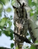 Filename=360_fotowilga~20.JPG
Filesize=89KB
Dimensions=377x480
Date added=Nov 13, 2016 360_fotowilga~20.JPG