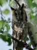 Filename=360_fotowilga~24.JPG
Filesize=261KB
Dimensions=525x700
Date added=Jul 20, 2017 360_fotowilga~24.JPG