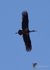 Filename=360_fotowilga~35.JPG
Filesize=147KB
Dimensions=499x700
Date added=Apr 26, 2019 360_fotowilga~35.JPG