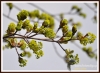 Filename=360_fotowilga~9.JPG
Filesize=109KB
Dimensions=720x526
Date added=Apr 03, 2014 360_fotowilga~9.JPG