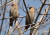 Filename=361_fotowilga~7.JPG
Filesize=111KB
Dimensions=640x457
Date added=Feb 07, 2015 361_fotowilga~7.JPG