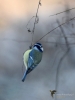 Filename=363_fotowilga~25.JPG
Filesize=234KB
Dimensions=525x700
Date added=Dec 05, 2019 363_fotowilga~25.JPG