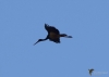 Filename=364_fotowilga~14.JPG
Filesize=130KB
Dimensions=700x499
Date added=Apr 24, 2019 364_fotowilga~14.JPG