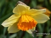 Filename=364_fotowilga~16.JPG
Filesize=80KB
Dimensions=638x480
Date added=Mar 27, 2017 364_fotowilga~16.JPG