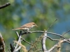 Filename=364_fotowilga~29.JPG
Filesize=282KB
Dimensions=700x525
Date added=Dec 25, 2019 364_fotowilga~29.JPG