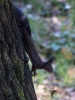 365_fotowilga~34.JPG