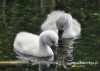 Filename=365_fotowilga~9.JPG
Filesize=113KB
Dimensions=640x457
Date added=Feb 07, 2015 365_fotowilga~9.JPG