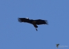 Filename=366_fotowilga~33.JPG
Filesize=154KB
Dimensions=700x500
Date added=Jun 24, 2018 366_fotowilga~33.JPG