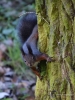 368_fotowilga~27.JPG