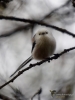 Filename=368_fotowilga~28.JPG
Filesize=214KB
Dimensions=525x700
Date added=Dec 11, 2017 368_fotowilga~28.JPG