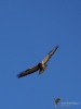 Filename=368_fotowilga~29.JPG
Filesize=196KB
Dimensions=525x700
Date added=Mar 10, 2019 368_fotowilga~29.JPG