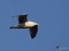 Filename=368_fotowilga~31.JPG
Filesize=197KB
Dimensions=700x525
Date added=Dec 16, 2019 368_fotowilga~31.JPG