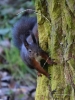 Filename=369_fotowilga~36.JPG
Filesize=327KB
Dimensions=525x700
Date added=Mar 13, 2018 369_fotowilga~36.JPG