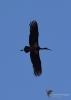Filename=370_fotowilga~10.JPG
Filesize=147KB
Dimensions=499x700
Date added=Apr 12, 2019 370_fotowilga~10.JPG