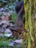 Filename=370_fotowilga~22.JPG
Filesize=319KB
Dimensions=525x700
Date added=Sep 28, 2018 370_fotowilga~22.JPG