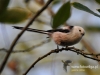 Filename=371_fotowilga~11.JPG
Filesize=92KB
Dimensions=640x480
Date added=Sep 16, 2015 371_fotowilga~11.JPG