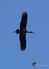 Filename=371_fotowilga~29.JPG
Filesize=145KB
Dimensions=499x700
Date added=Apr 21, 2019 371_fotowilga~29.JPG