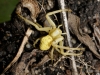 Filename=373_fotowilga~35.JPG
Filesize=305KB
Dimensions=700x525
Date added=Dec 12, 2019 373_fotowilga~35.JPG