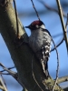 Filename=378_fotowilga~19.JPG
Filesize=278KB
Dimensions=525x700
Date added=Mar 24, 2019 378_fotowilga~19.JPG