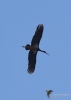 Filename=380_fotowilga~29.JPG
Filesize=167KB
Dimensions=499x700
Date added=Apr 29, 2019 380_fotowilga~29.JPG