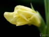Filename=380_fotowilga~32.JPG
Filesize=150KB
Dimensions=700x525
Date added=Nov 24, 2019 380_fotowilga~32.JPG