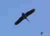Filename=381_fotowilga~30.JPG
Filesize=157KB
Dimensions=700x500
Date added=Apr 21, 2019 381_fotowilga~30.JPG
