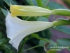 Filename=382_fotowilga~23.JPG
Filesize=80KB
Dimensions=640x480
Date added=Nov 14, 2017 382_fotowilga~23.JPG