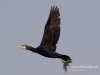 Filename=382_fotowilga~26.JPG
Filesize=46KB
Dimensions=640x480
Date added=Dec 02, 2018 382_fotowilga~26.JPG